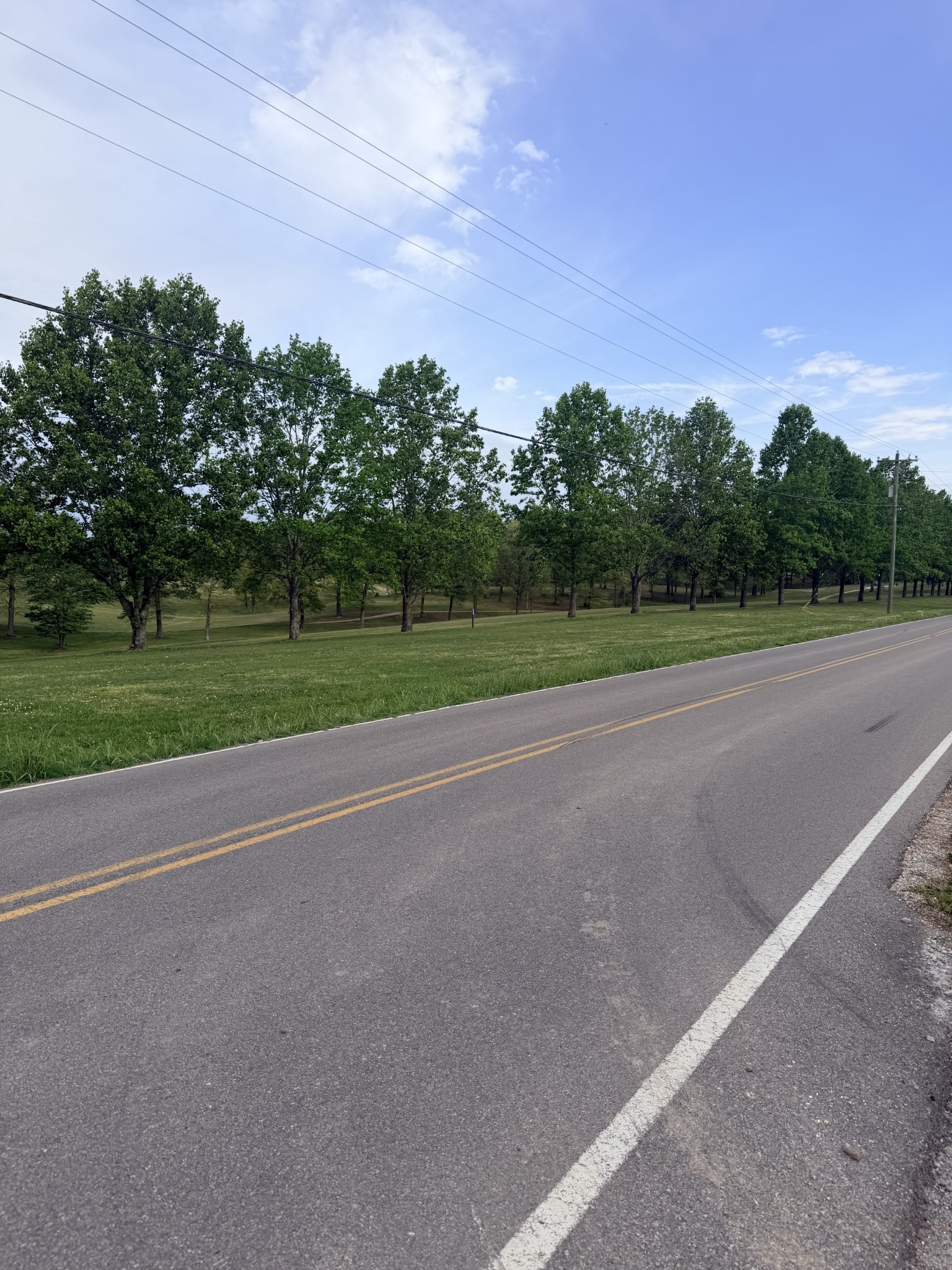 940 North Brace Road Summertown, TN 38483 - Photo 10 of 21 a view of a field and trees in the background