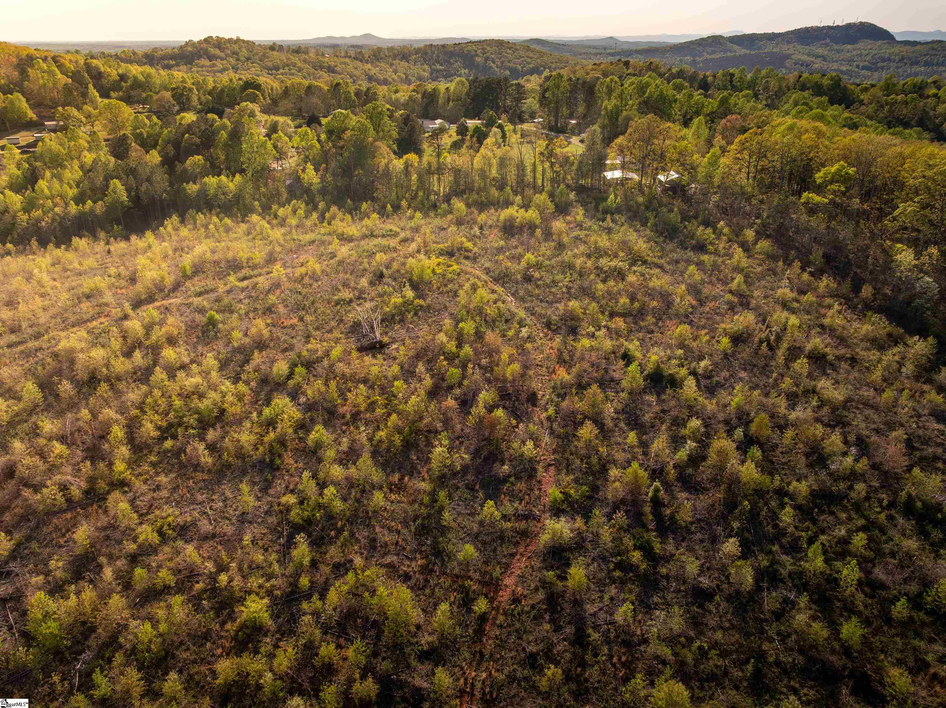 2 Hood Road, Unit LOT 2 Easley, SC 29640 - Photo 30 of 38