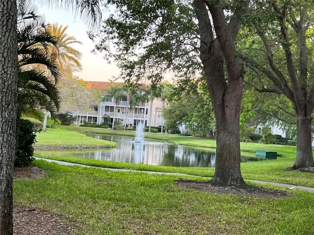 a view of a tennis ground with large trees