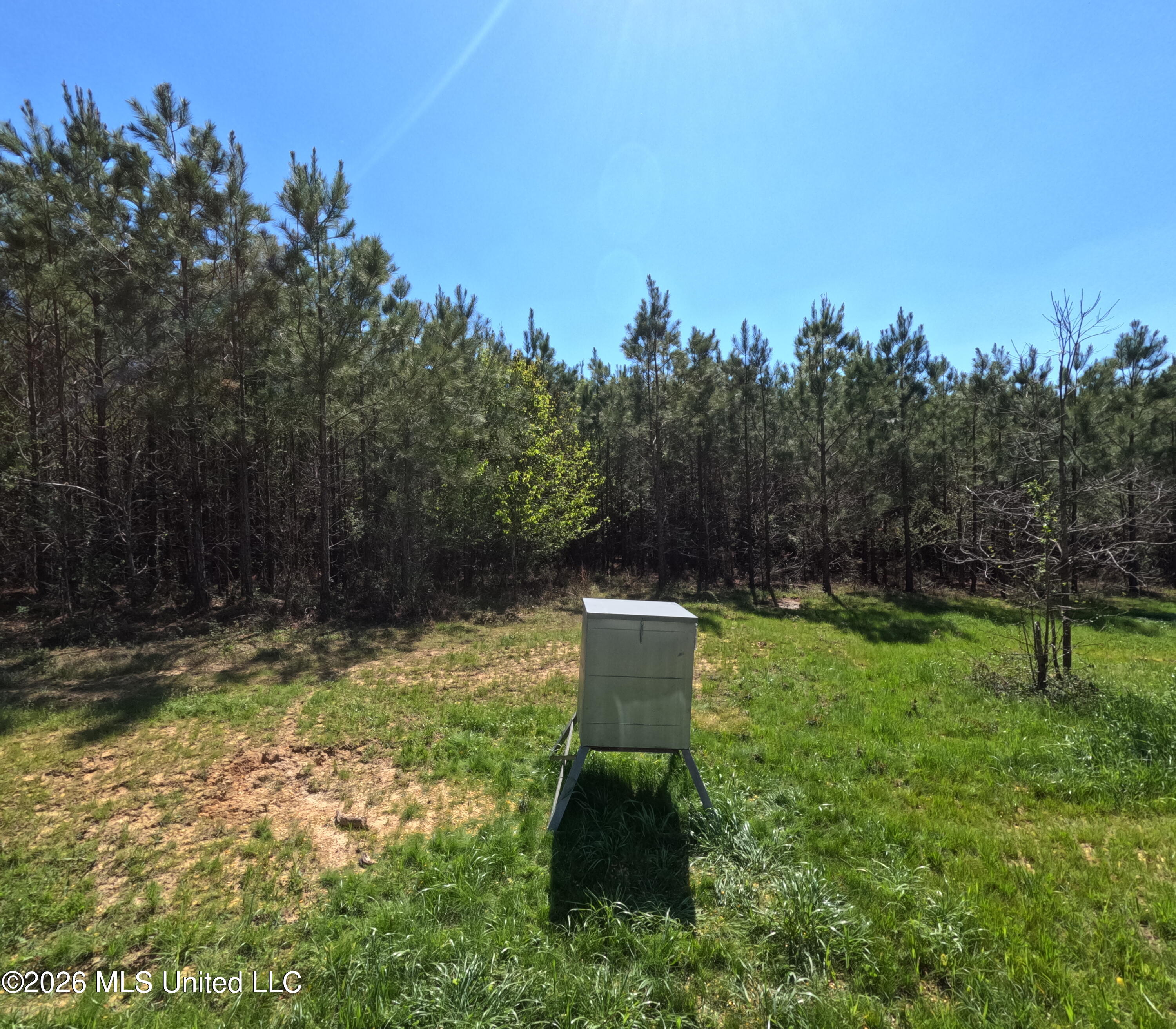 17565 Ms-27 Utica, MS 39175 - Photo 4 of 44 GOPR2172