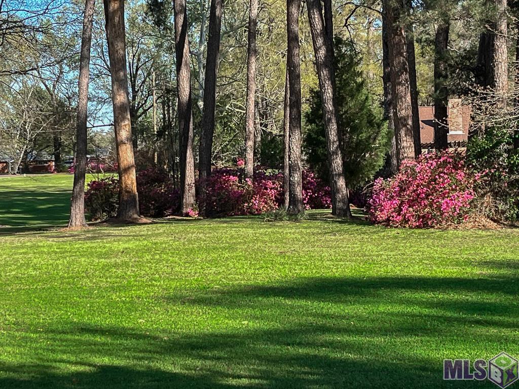 1055 North River Road Denham Springs, LA 70726 - Photo 20 of 33