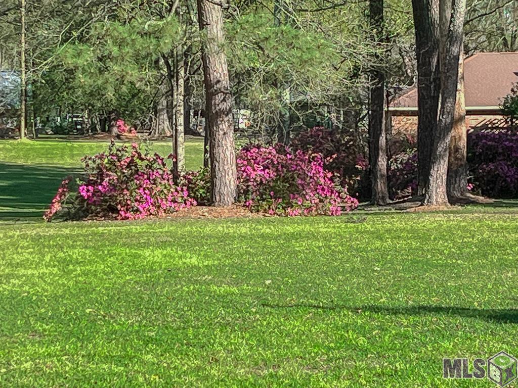 1055 North River Road Denham Springs, LA 70726 - Photo 21 of 33