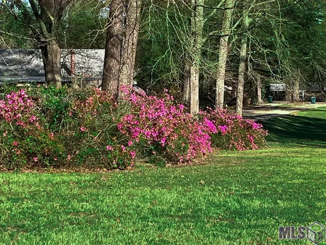 $669,900 | 1055 North River Road, Denham Springs, LA 70726