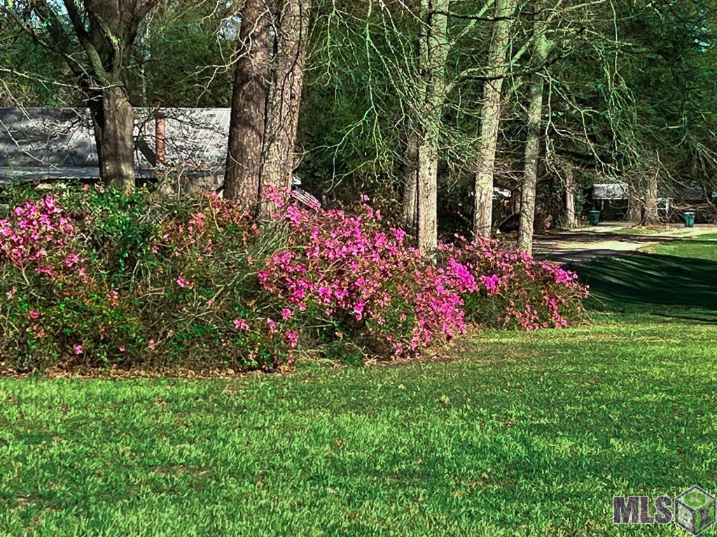 1055 North River Road Denham Springs, LA 70726 - Photo 22 of 33