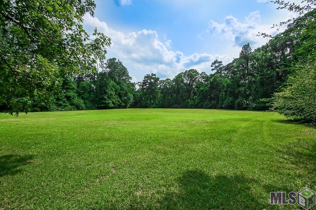 1055 North River Road Denham Springs, LA 70726 - Photo 28 of 33