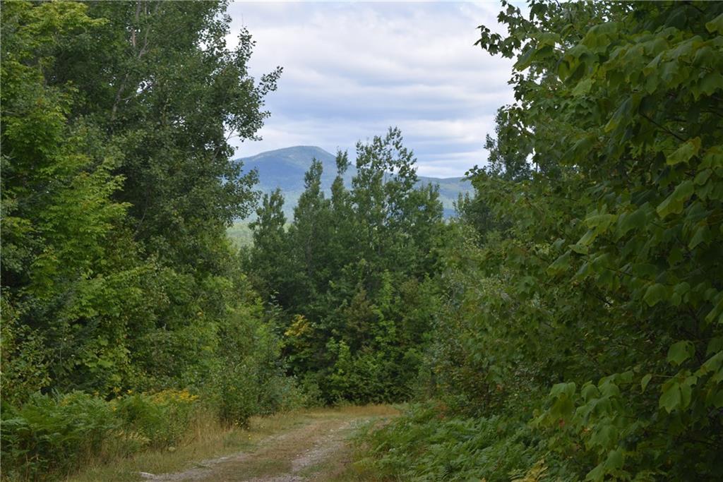 R11-l36 Shin Pond Road Patten, ME 04765 - Photo 24 of 30 View of Mount Chase as you are...