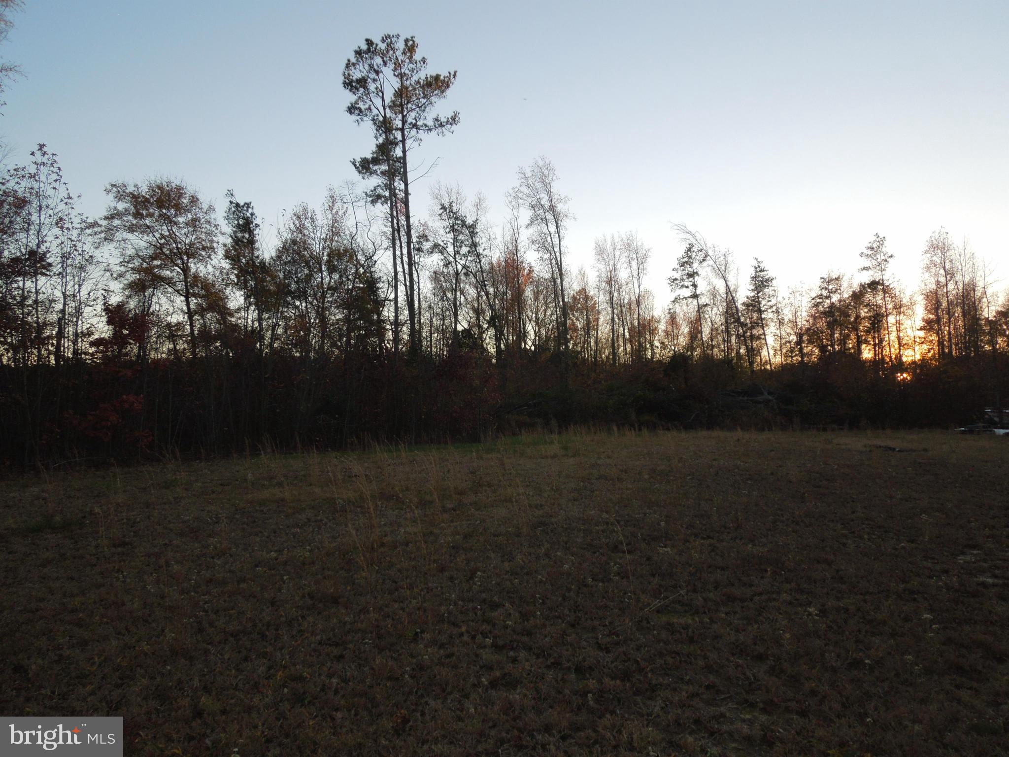22849 Peaviner Road Ridgely, MD 21660 - Photo 8 of 9 View