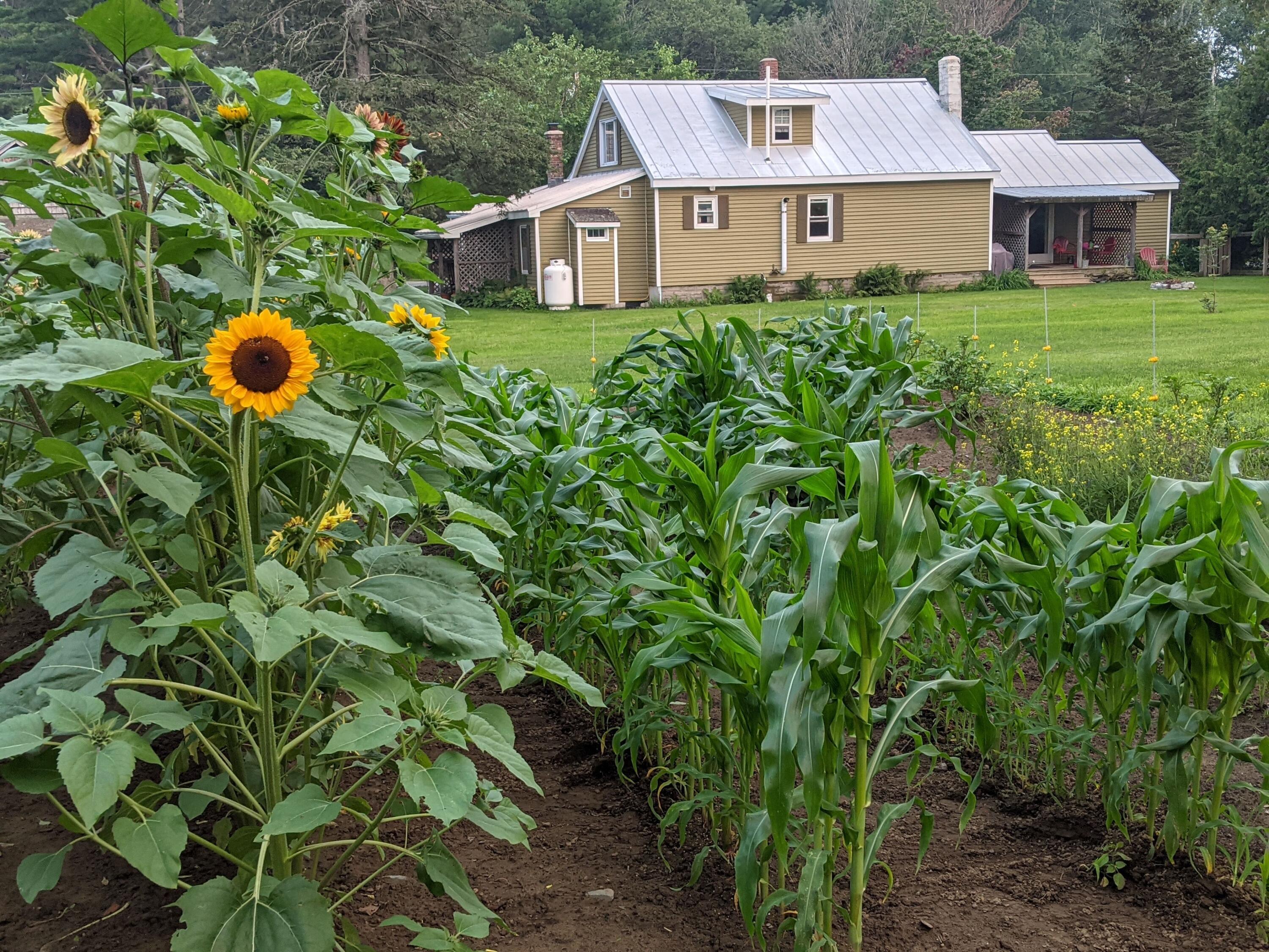 286 Canaan Road Clinton, ME 04927 - Photo 47 of 53 PXL_20210726_234224034.PORTRAIT