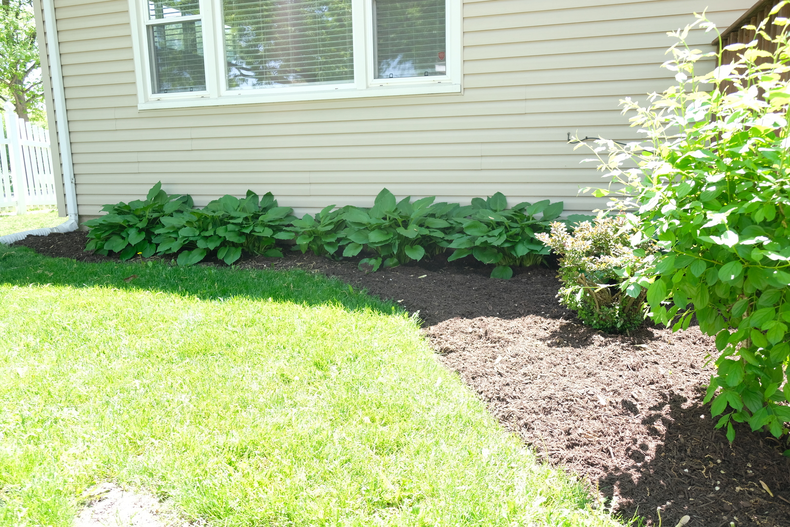 1020 Mitchell Avenue Elmhurst, IL 60126 - Photo 34 of 44 a view of a backyard with plants and large tree