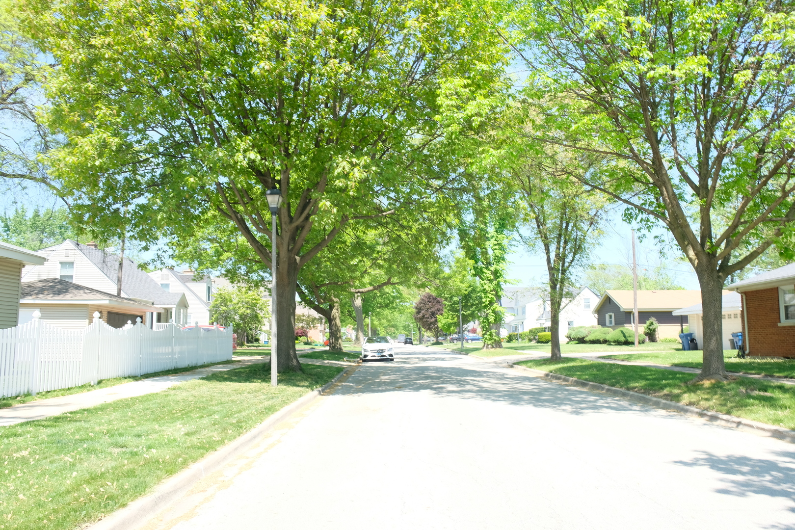 1020 Mitchell Avenue Elmhurst, IL 60126 - Photo 39 of 44 a view of road with trees