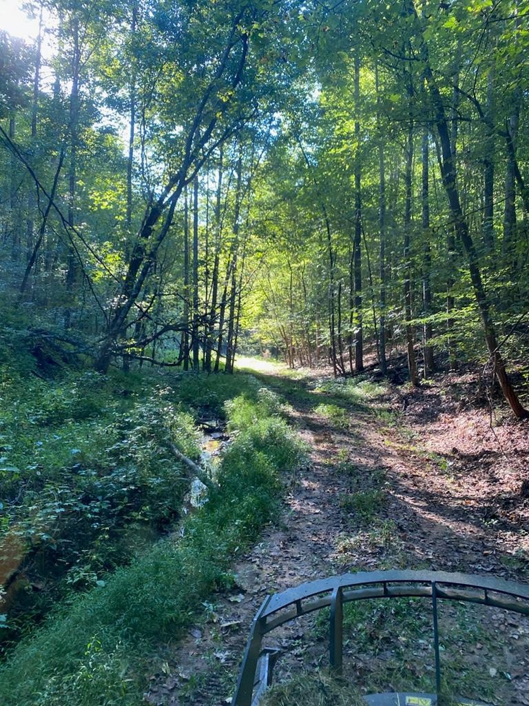 0 Stanton Road Seymour, TN 37865 - Photo 20 of 35 Gallery Image 20