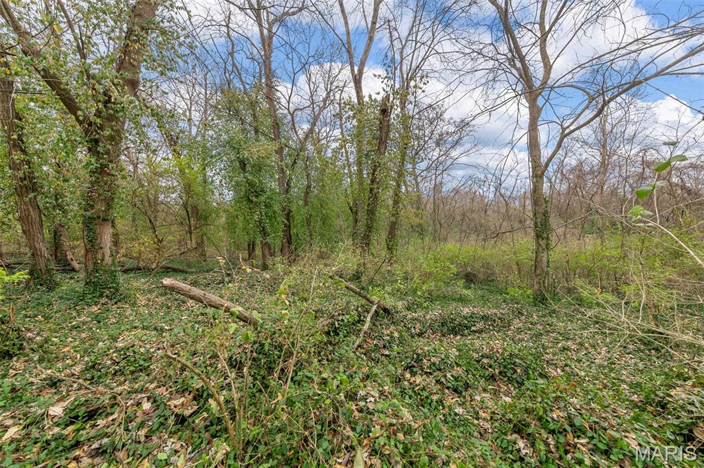 1144 Hudson Road St. Louis, MO 63135 - Photo 24 of 26