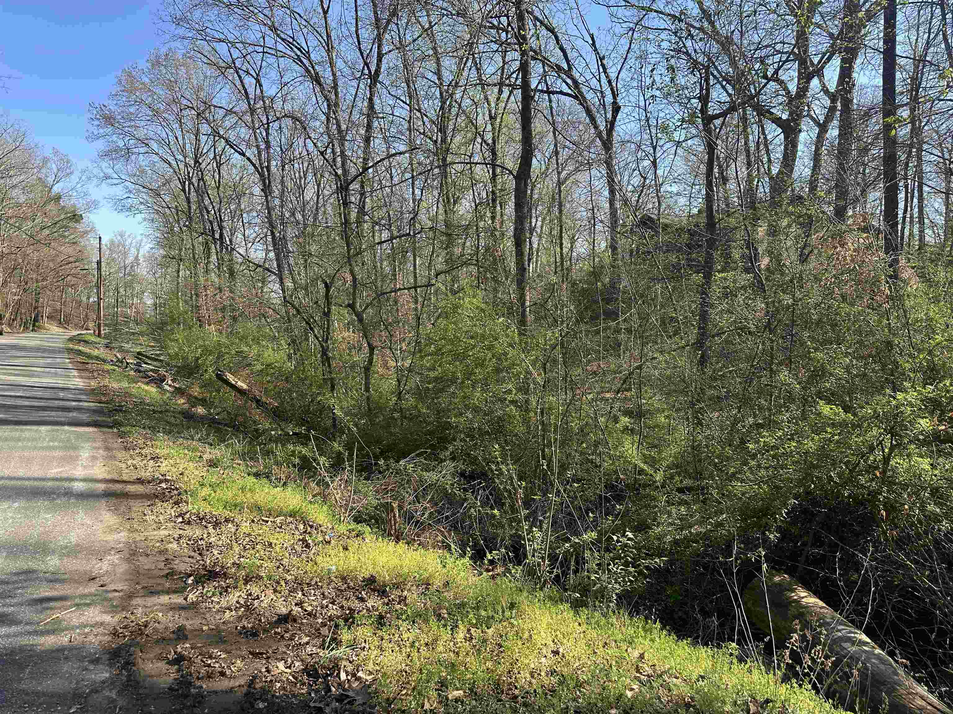 Lot 2 Crump Landing Road Crump, TN 38327 - Photo 4 of 10 a view of a lake with large trees