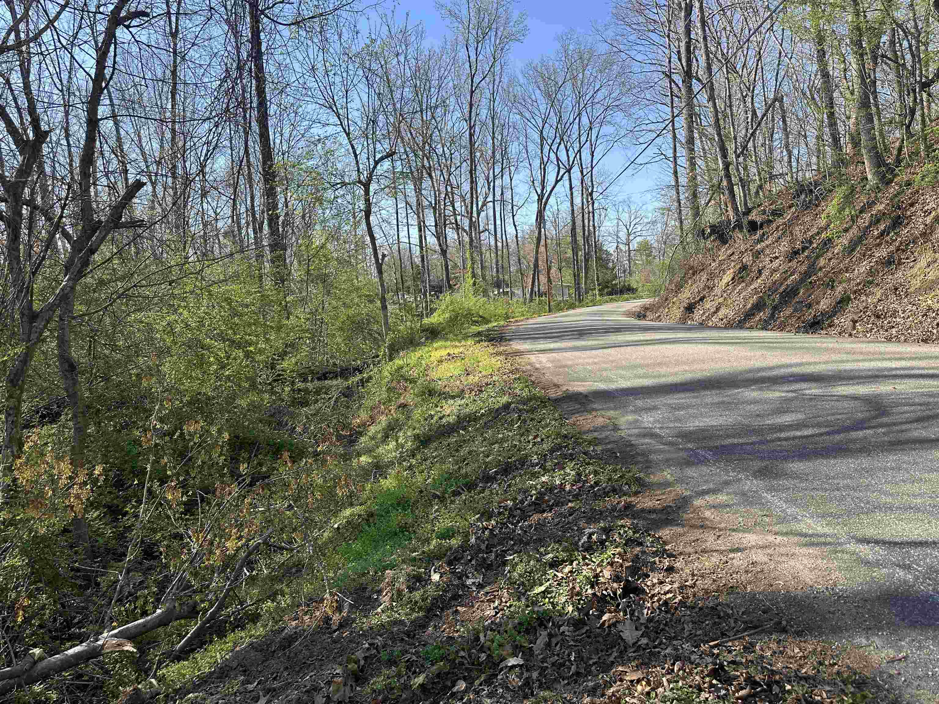 Lot 2 Crump Landing Road Crump, TN 38327 - Photo 7 of 10 a view of yard with green space