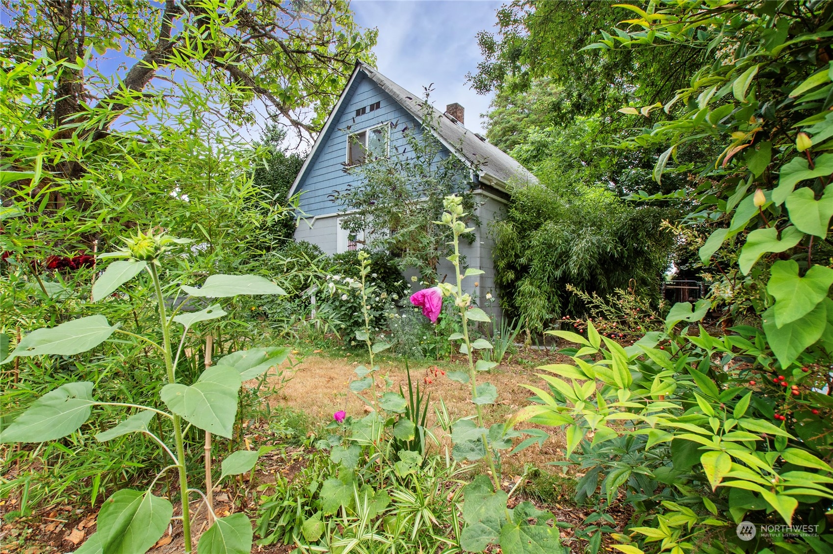 610 Boulevard Road Southeast Olympia, WA 98501 - Photo 1 of 5 a view of outdoor space and front view of a house