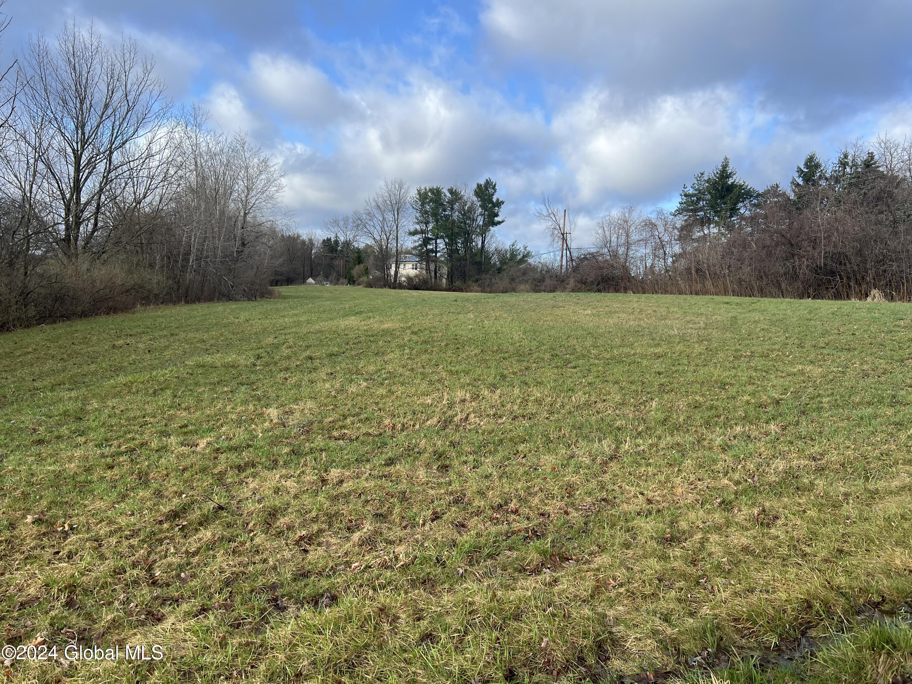 L11 Currybush Road Rotterdam, NY 12306 - Photo 1 of 4 currybush 1