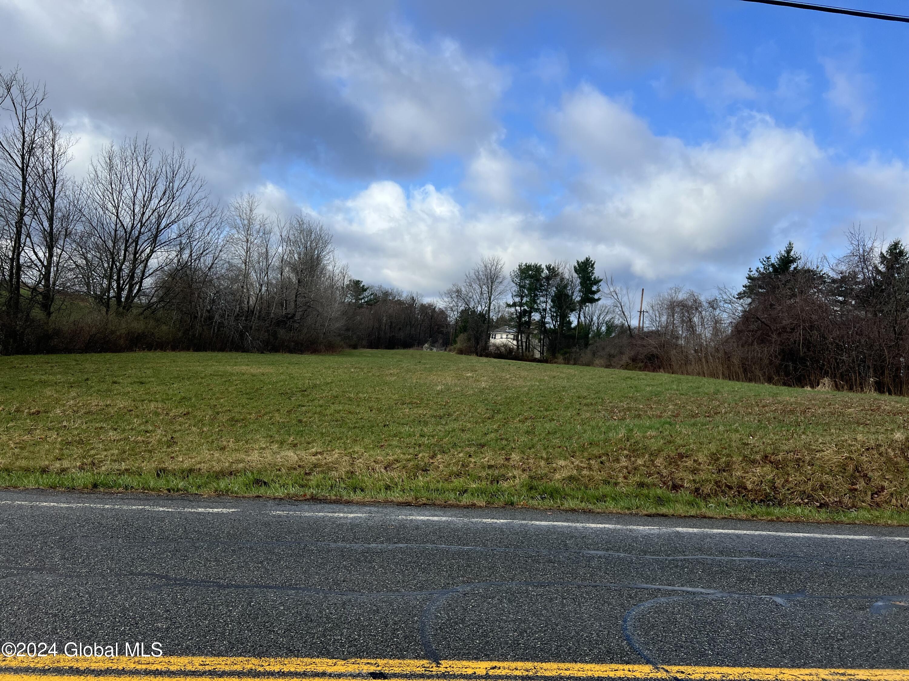 L11 Currybush Road Rotterdam, NY 12306 - Photo 3 of 4 currybush 3