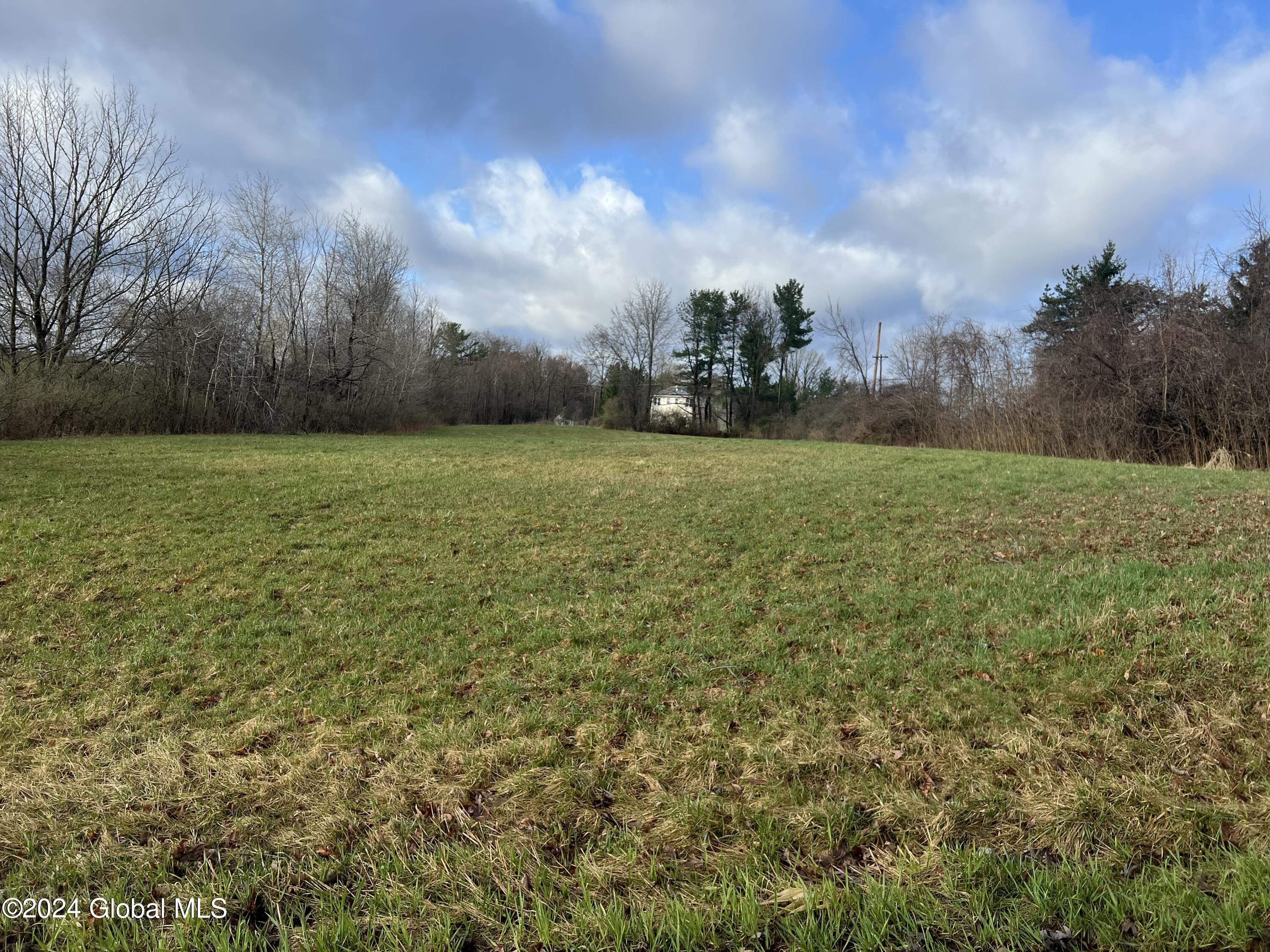 L11 Currybush Road Rotterdam, NY 12306 - Photo 4 of 4 currybush 4