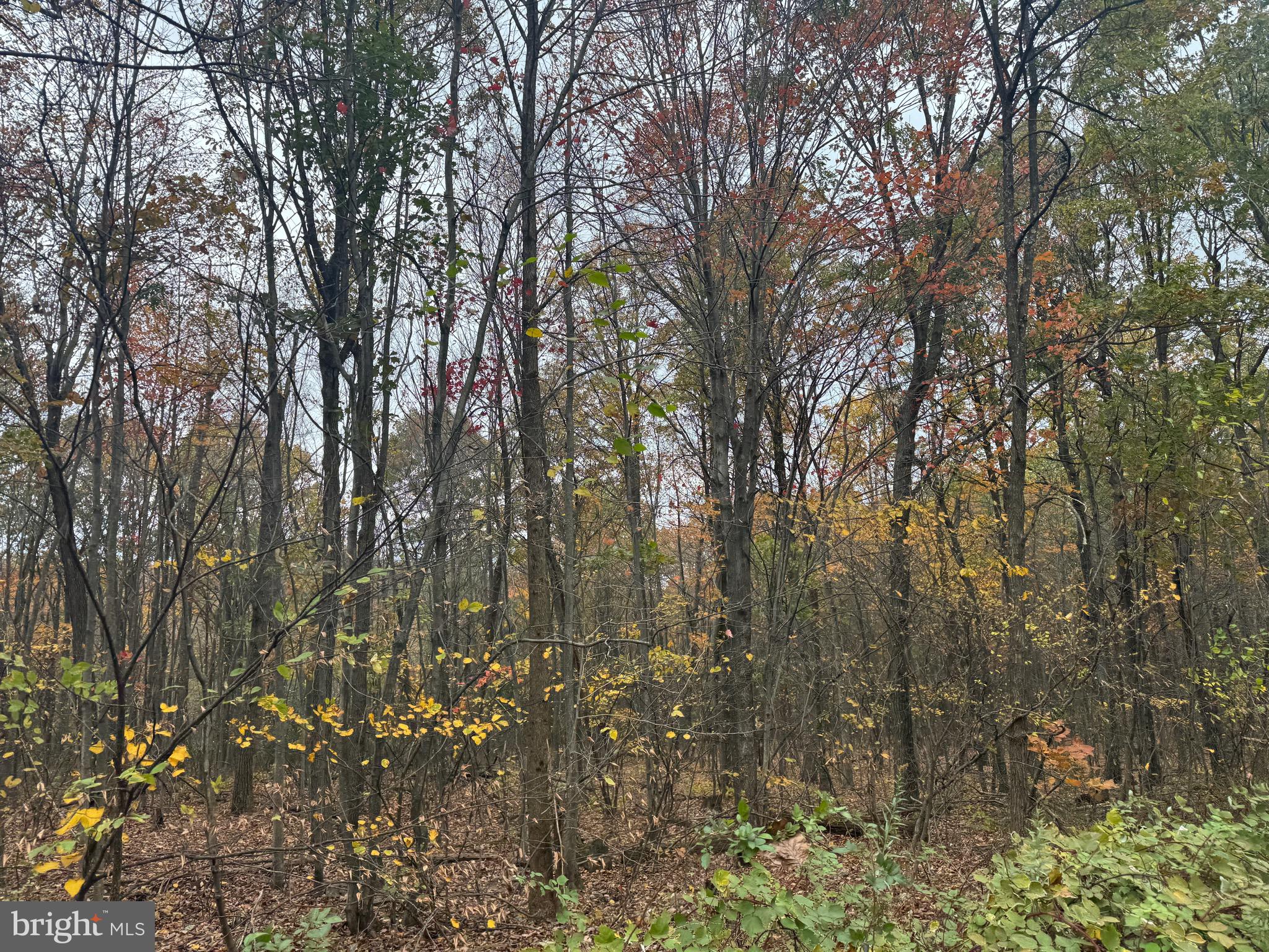 2 30 /- Acres Coles Valley Road Robertsdale, PA 16674 - Photo 11 of 38