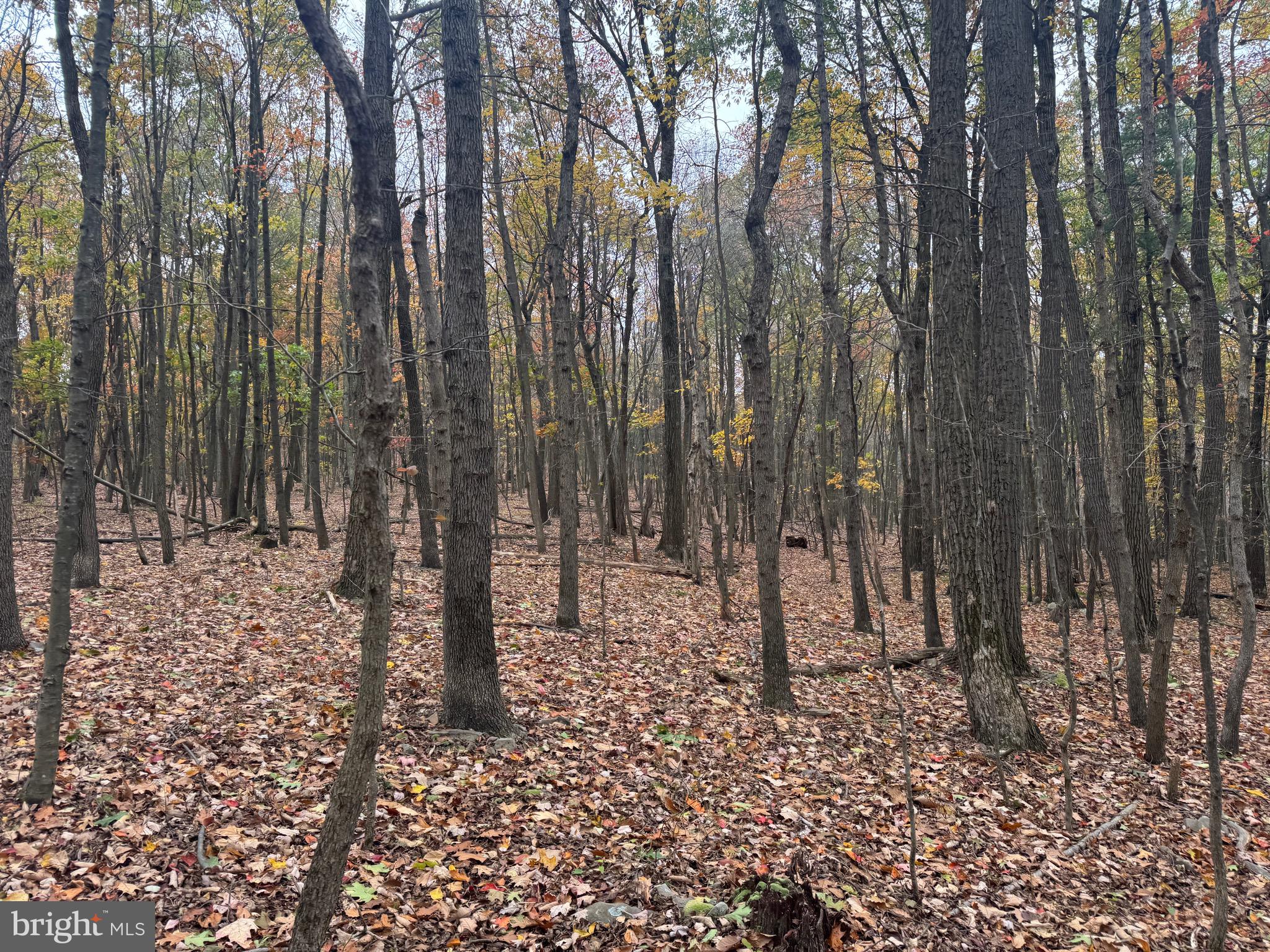 2 30 /- Acres Coles Valley Road Robertsdale, PA 16674 - Photo 15 of 38