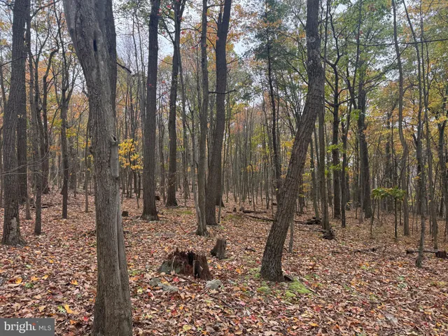 $199,000 | 2 30 /- Acres Coles Valley Road, Robertsdale, PA 16674