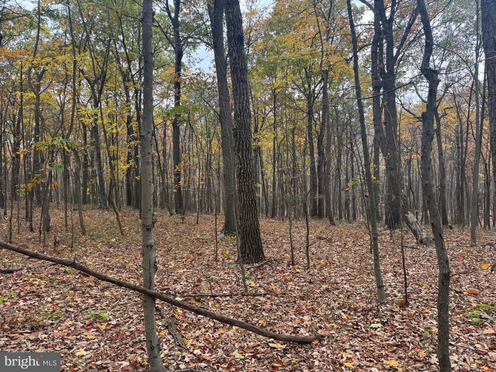 2 30 /- Acres Coles Valley Road Robertsdale, PA 16674 - Photo 18 of 38