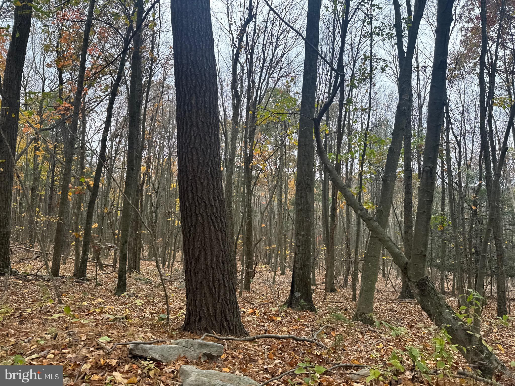 2 30 /- Acres Coles Valley Road Robertsdale, PA 16674 - Photo 19 of 38