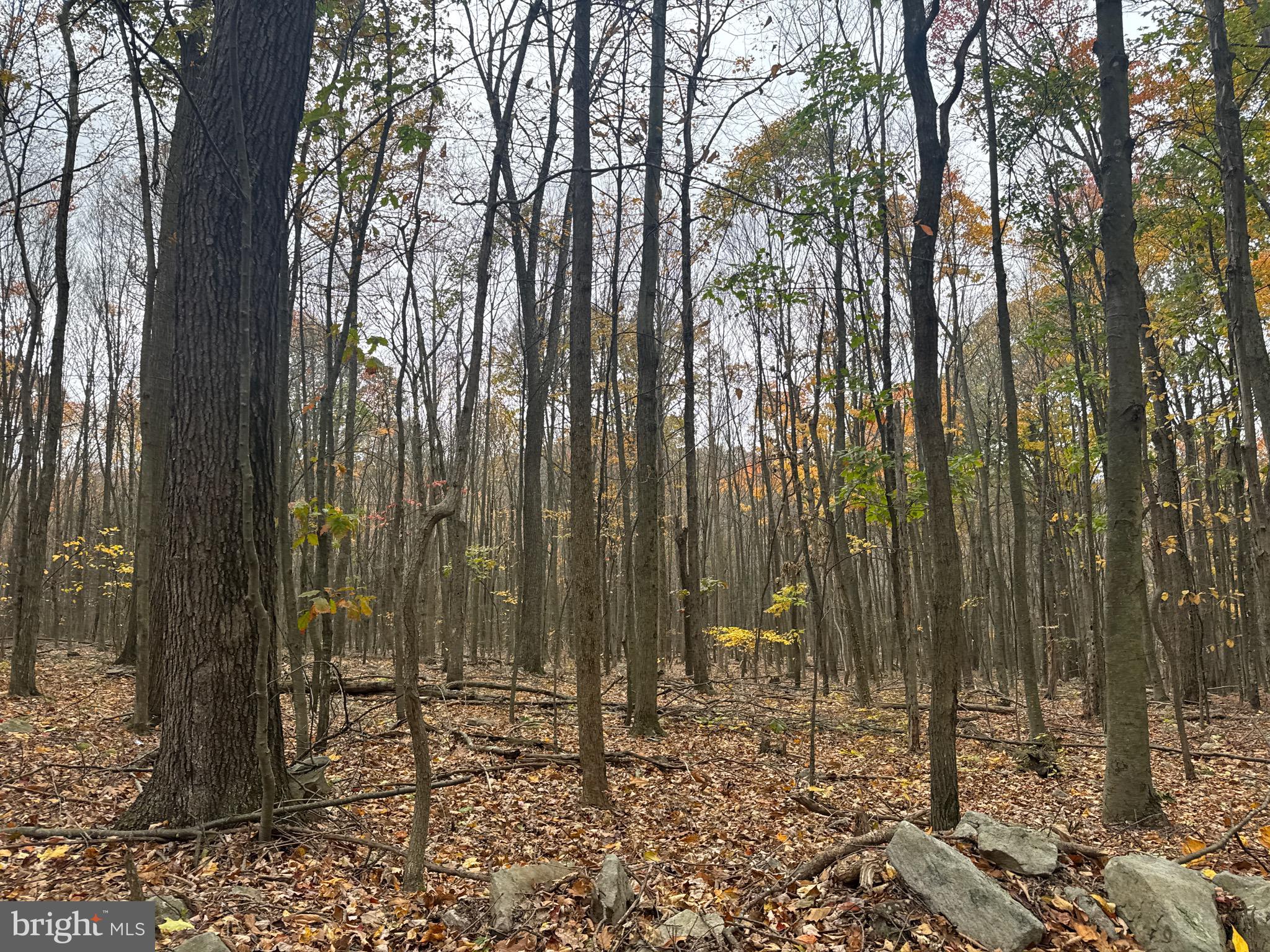 2 30 /- Acres Coles Valley Road Robertsdale, PA 16674 - Photo 20 of 38