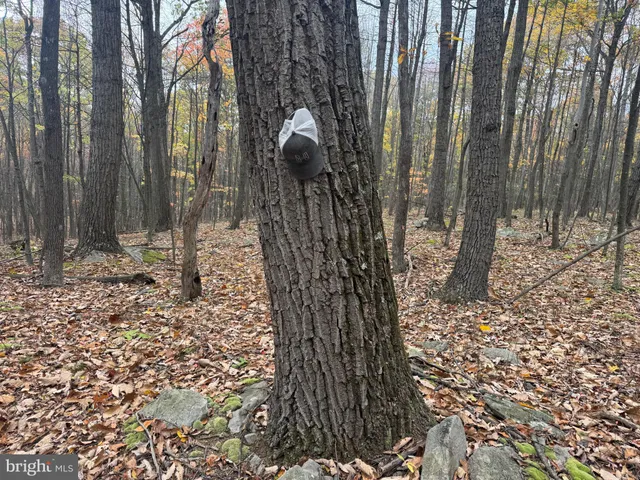 $199,000 | 2 30 /- Acres Coles Valley Road, Robertsdale, PA 16674