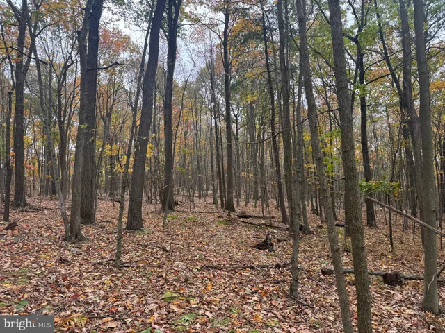 $199,000 | 2 30 /- Acres Coles Valley Road, Robertsdale, PA 16674