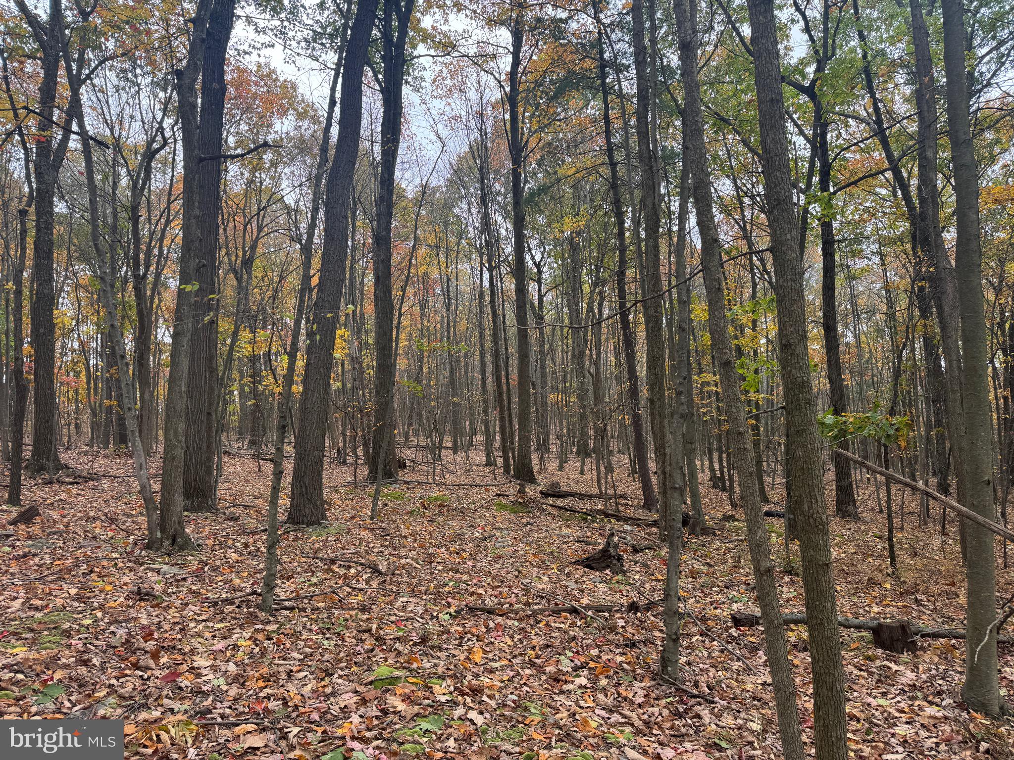 2 30 /- Acres Coles Valley Road Robertsdale, PA 16674 - Photo 21 of 38