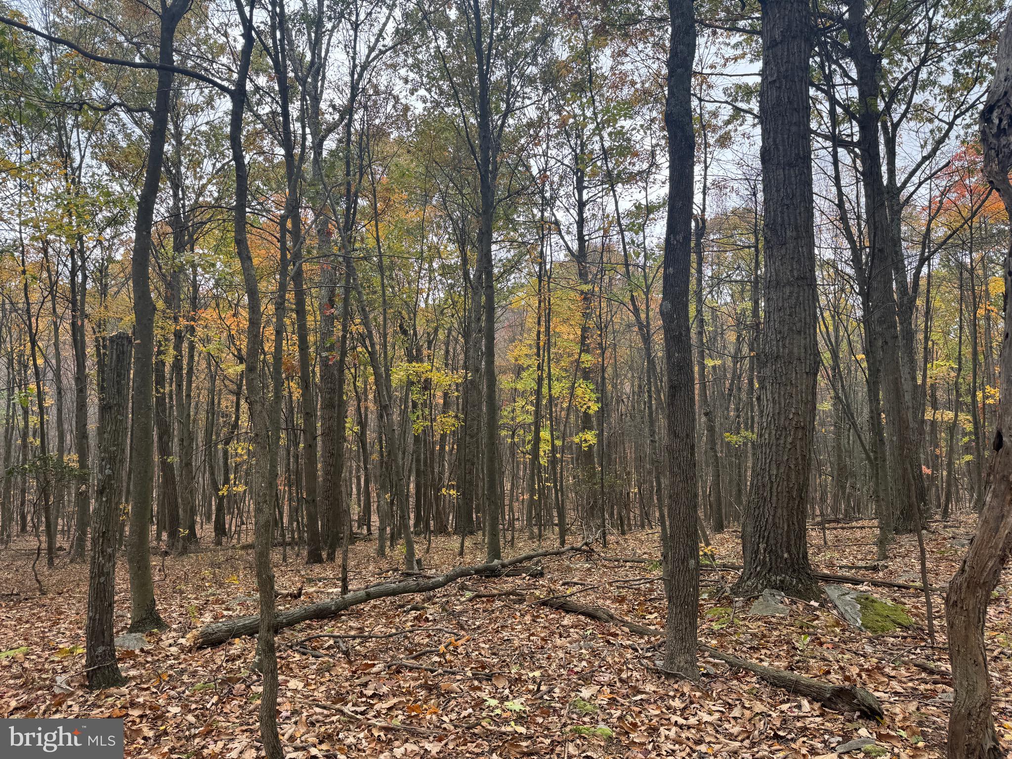 2 30 /- Acres Coles Valley Road Robertsdale, PA 16674 - Photo 22 of 38