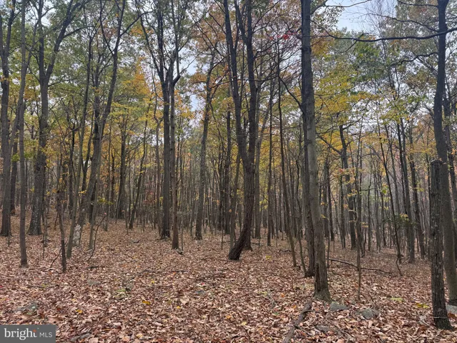 $199,000 | 2 30 /- Acres Coles Valley Road, Robertsdale, PA 16674