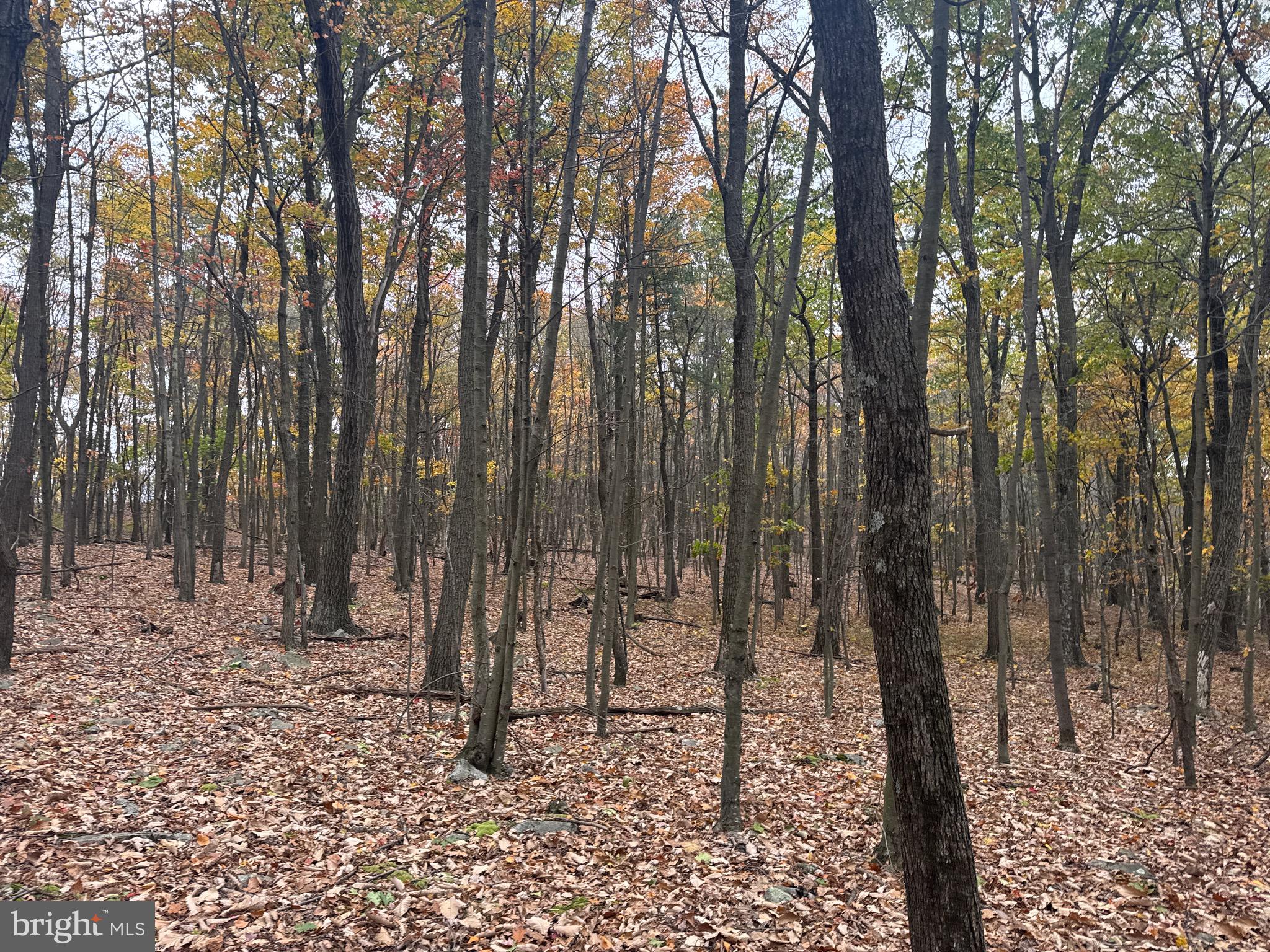 2 30 /- Acres Coles Valley Road Robertsdale, PA 16674 - Photo 24 of 38