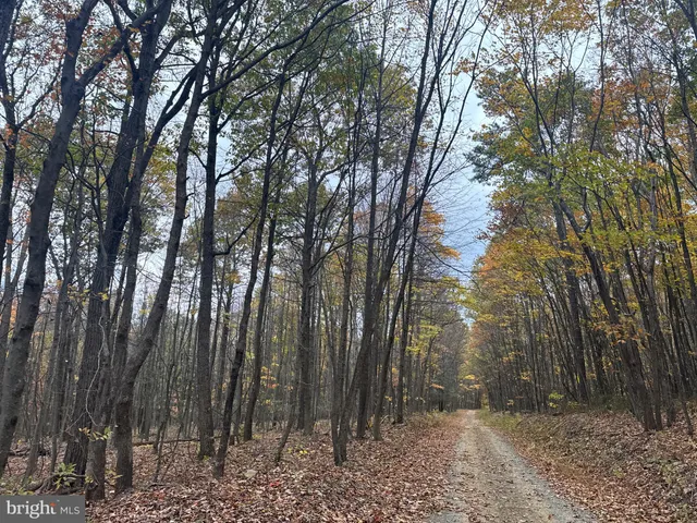 $199,000 | 2 30 /- Acres Coles Valley Road, Robertsdale, PA 16674