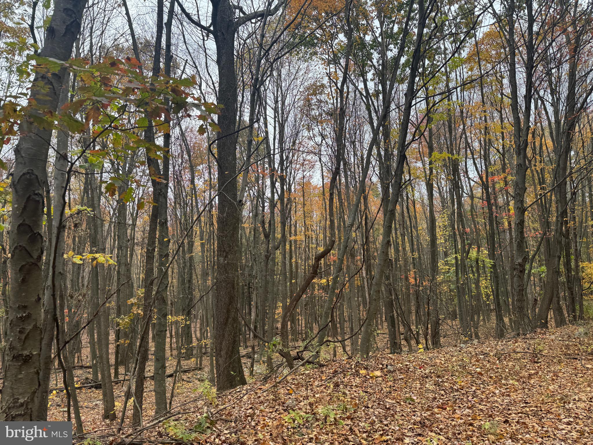 2 30 /- Acres Coles Valley Road Robertsdale, PA 16674 - Photo 27 of 38