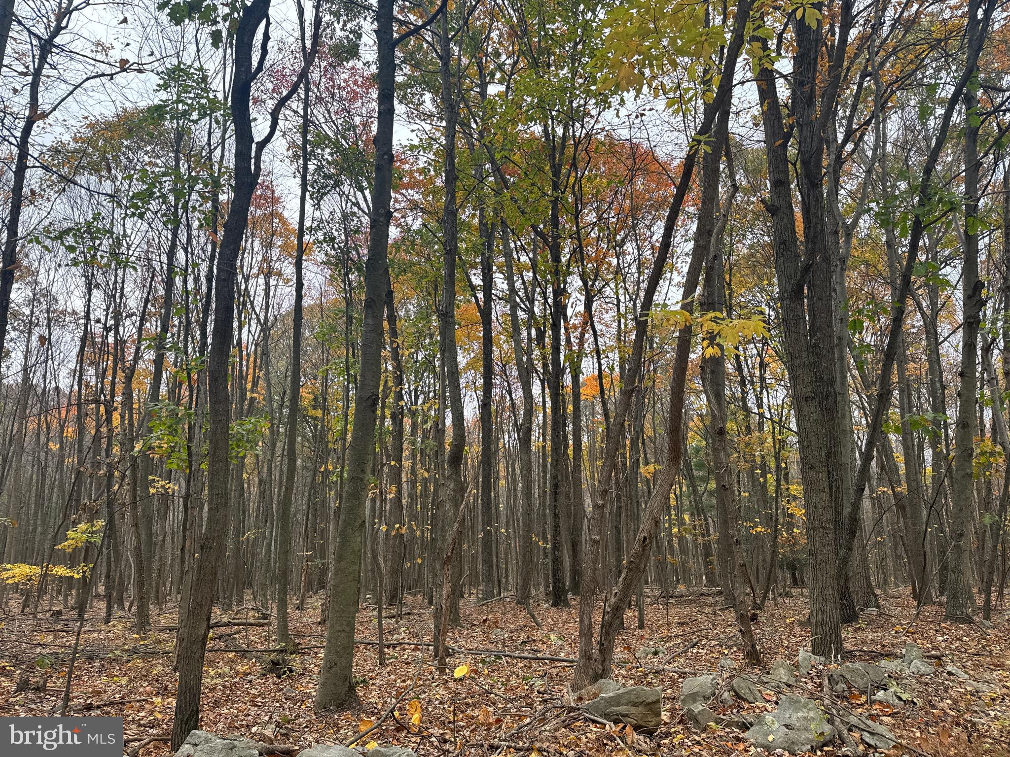 2 30 /- Acres Coles Valley Road Robertsdale, PA 16674 - Photo 28 of 38
