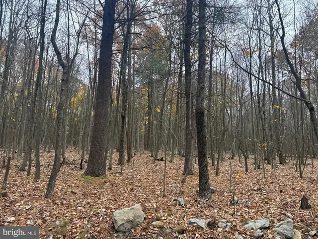 $199,000 | 2 30 /- Acres Coles Valley Road, Robertsdale, PA 16674