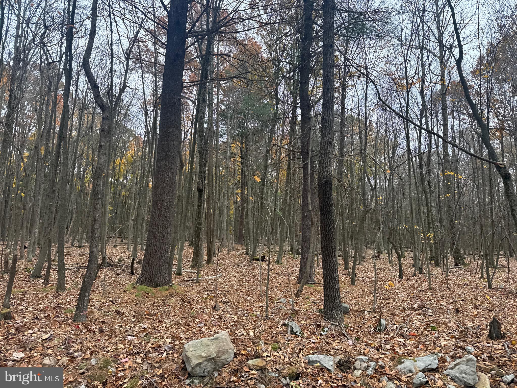 2 30 /- Acres Coles Valley Road Robertsdale, PA 16674 - Photo 30 of 38