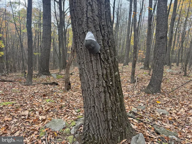 $199,000 | 2 30 /- Acres Coles Valley Road, Robertsdale, PA 16674