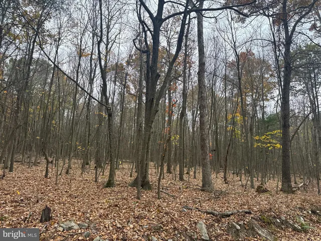 $199,000 | 2 30 /- Acres Coles Valley Road, Robertsdale, PA 16674