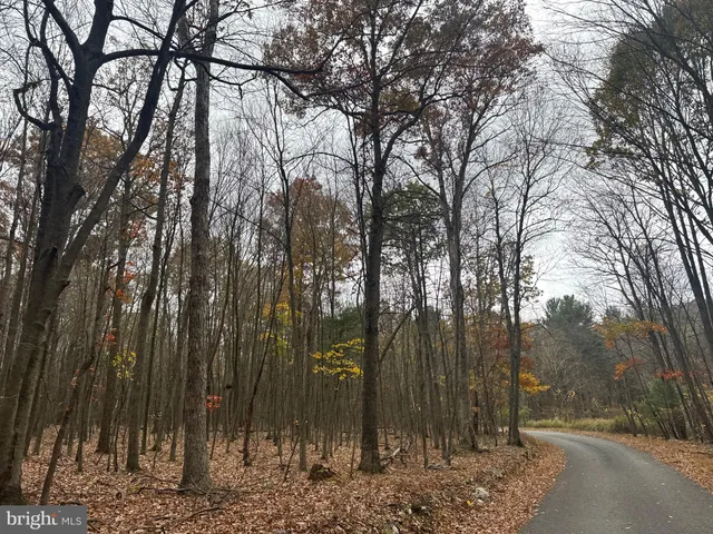 $199,000 | 2 30 /- Acres Coles Valley Road, Robertsdale, PA 16674