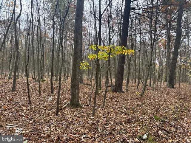 $199,000 | 2 30 /- Acres Coles Valley Road, Robertsdale, PA 16674