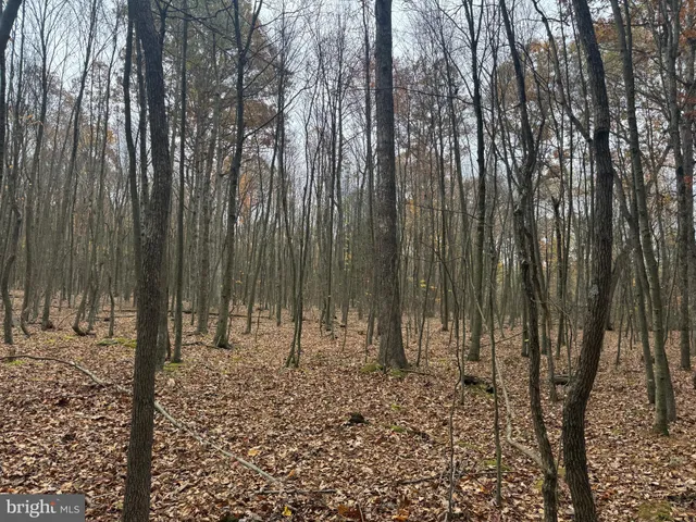 $199,000 | 2 30 /- Acres Coles Valley Road, Robertsdale, PA 16674