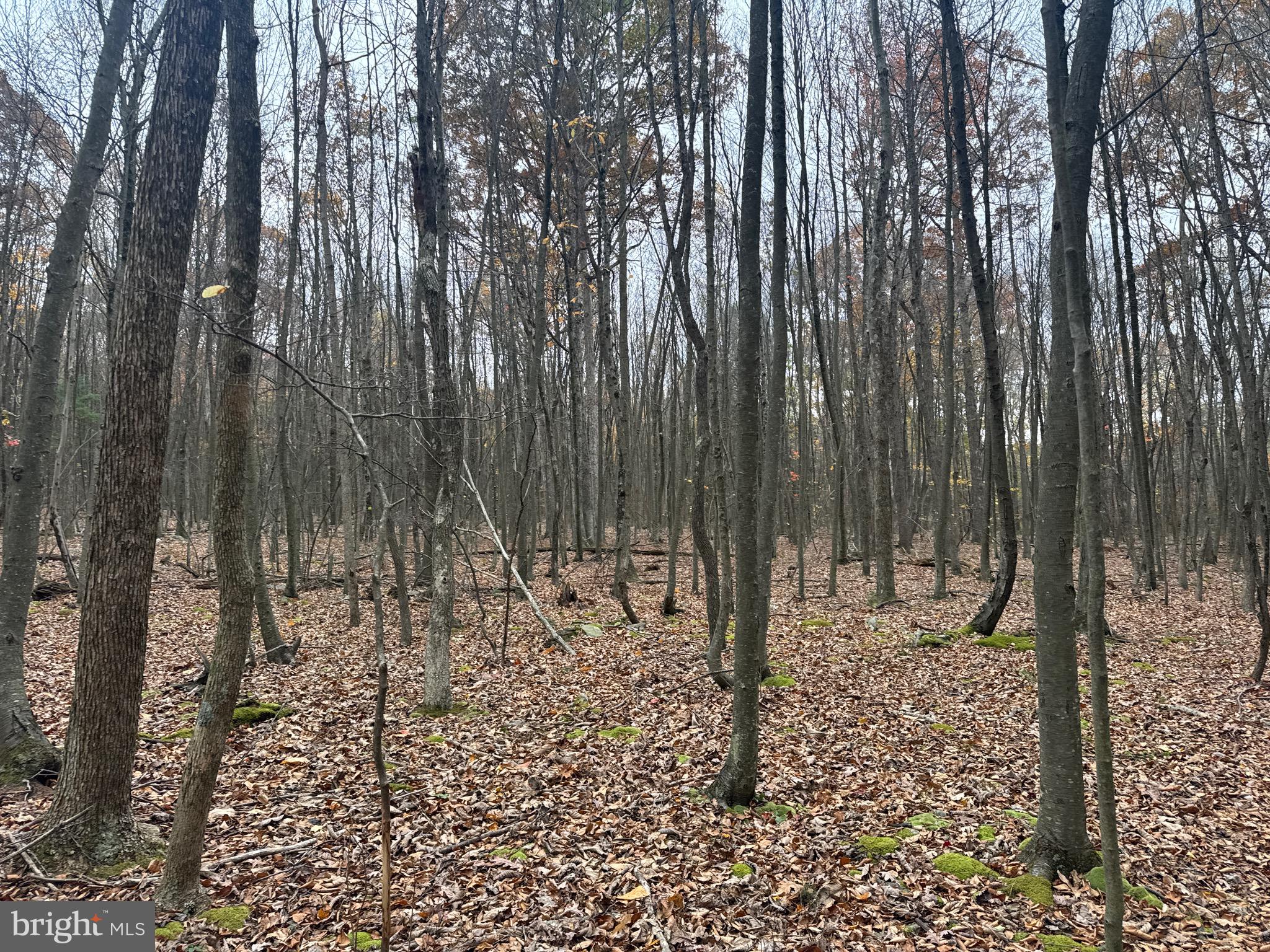 2 30 /- Acres Coles Valley Road Robertsdale, PA 16674 - Photo 36 of 38