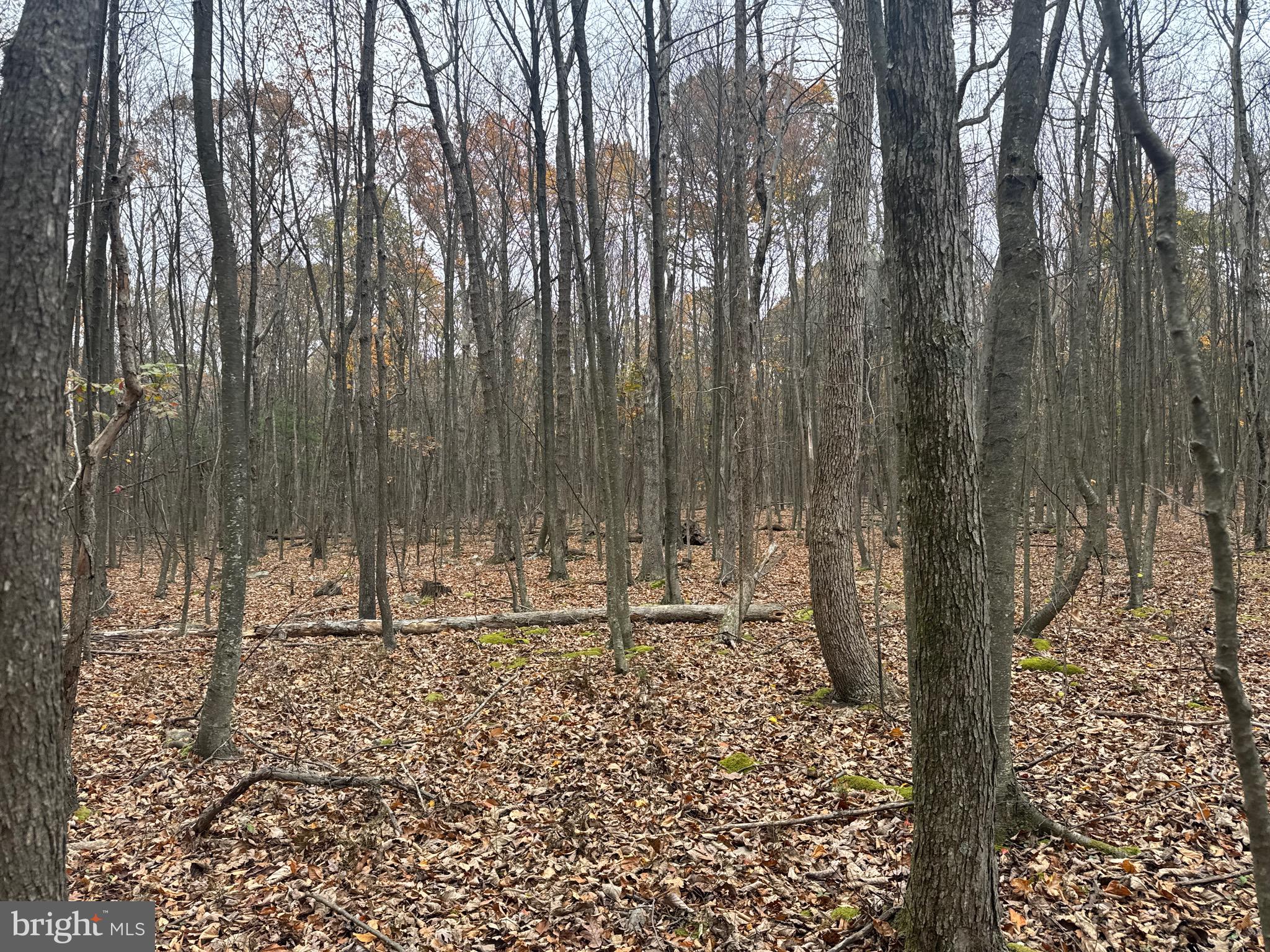 2 30 /- Acres Coles Valley Road Robertsdale, PA 16674 - Photo 37 of 38