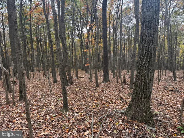 $199,000 | 2 30 /- Acres Coles Valley Road, Robertsdale, PA 16674