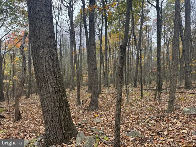 $199,000 | 2 30 /- Acres Coles Valley Road, Robertsdale, PA 16674