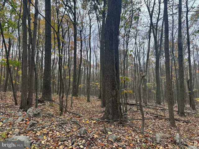 $199,000 | 2 30 /- Acres Coles Valley Road, Robertsdale, PA 16674