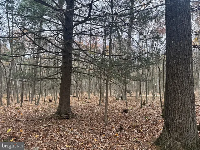 $199,000 | 2 30 /- Acres Coles Valley Road, Robertsdale, PA 16674